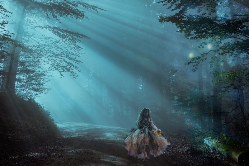 Enchanted Forest